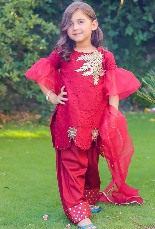CHANDNI MAROON